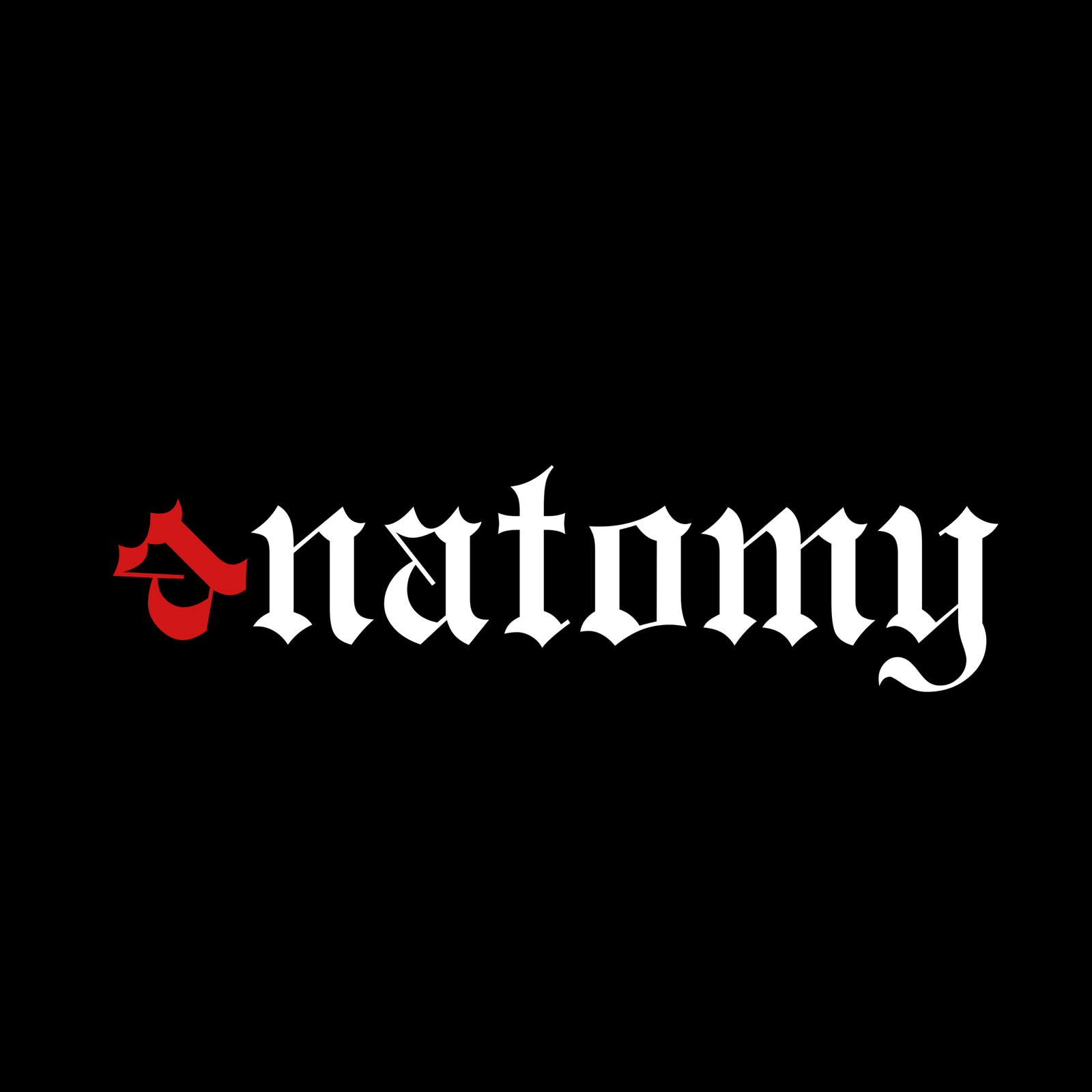 Anatomy logo design by Pixel Rain Studios